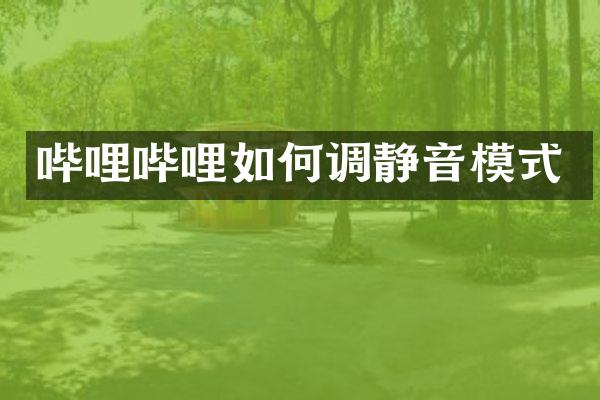 哔哩哔哩如何调静音模式
