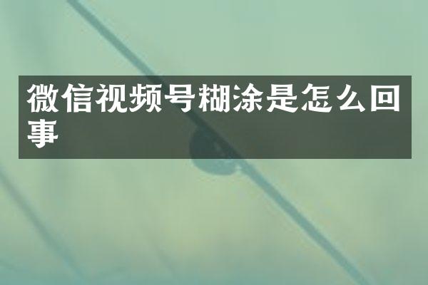 微信视频号糊涂是怎么回事