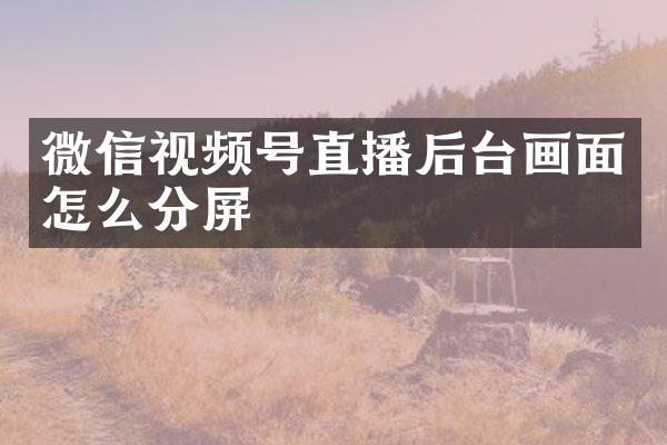 微信视频号直播后台画面怎么分屏