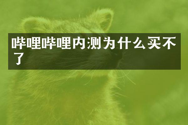 哔哩哔哩内测为什么买不了