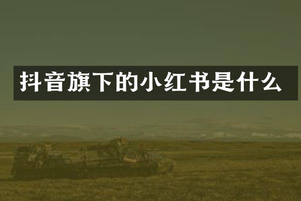 抖音旗下的小红书是什么