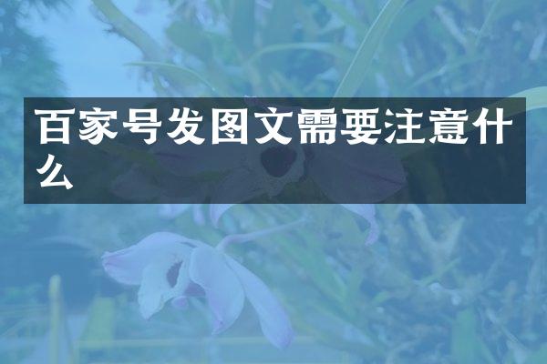 百家号发图文需要注意什么