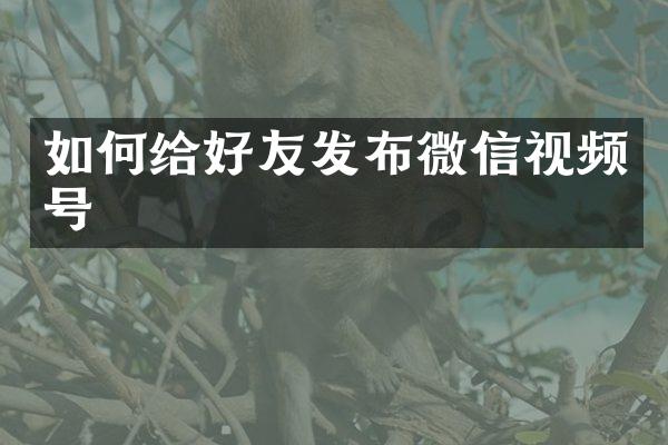 如何给好友发布微信视频号