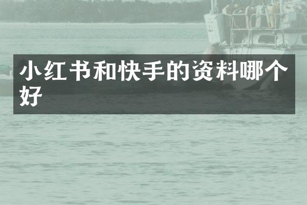 小红书和快手的资料哪个好