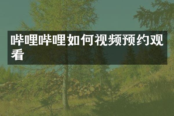 哔哩哔哩如何视频预约观看