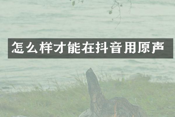 怎么样才能在抖音用原声