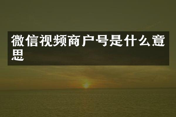微信视频商户号是什么意思