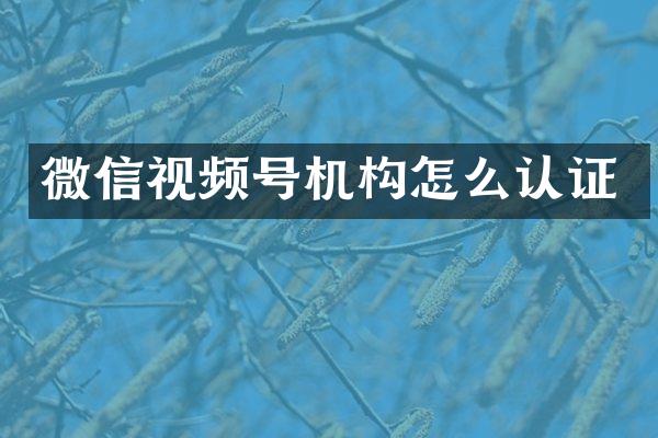 微信视频号机构怎么认证