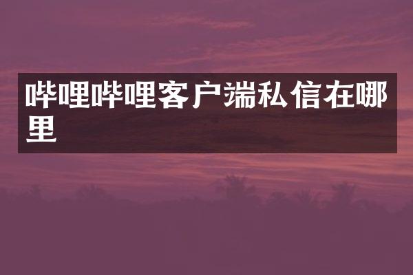 哔哩哔哩客户端私信在哪里