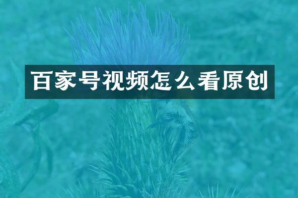 百家号视频怎么看原创