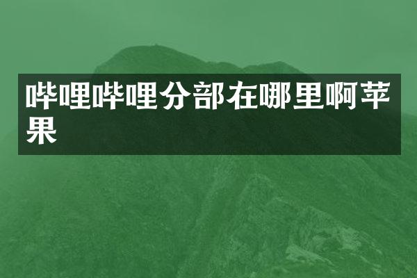 哔哩哔哩分部在哪里啊苹果