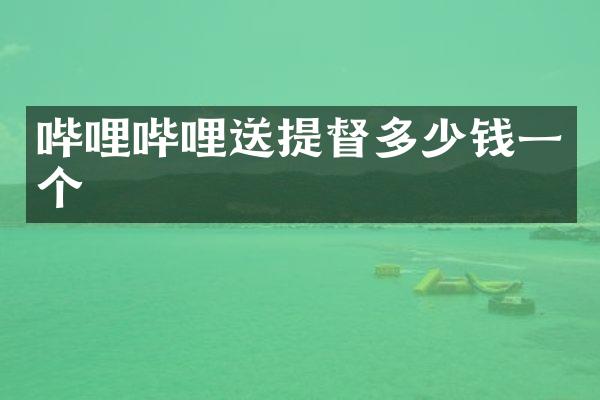 哔哩哔哩送提督多少钱一个