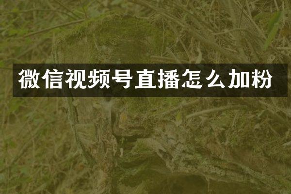 微信视频号直播怎么加粉