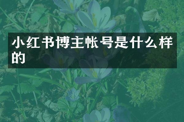 小红书博主帐号是什么样的