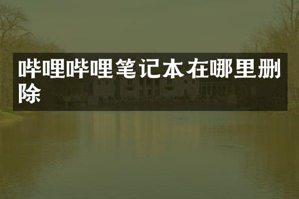 哔哩哔哩笔记本在哪里删除