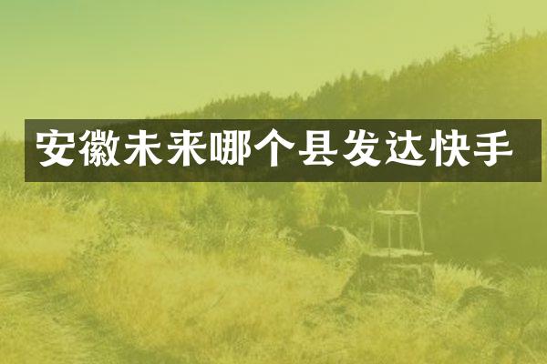 安徽未来哪个县发达快手