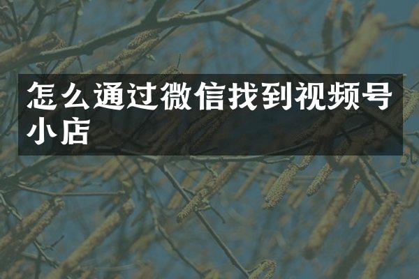 怎么通过微信找到视频号小店