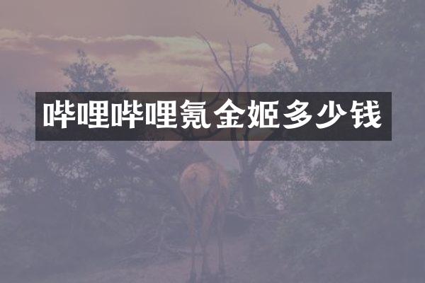 哔哩哔哩氪金姬多少钱