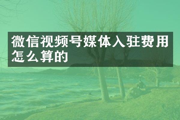 微信视频号媒体入驻费用怎么算的