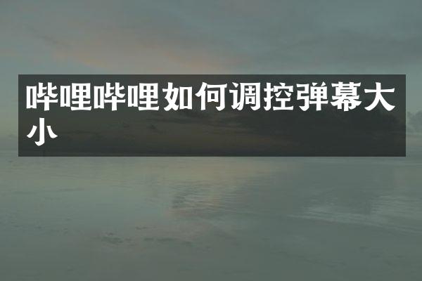 哔哩哔哩如何调控弹幕大小