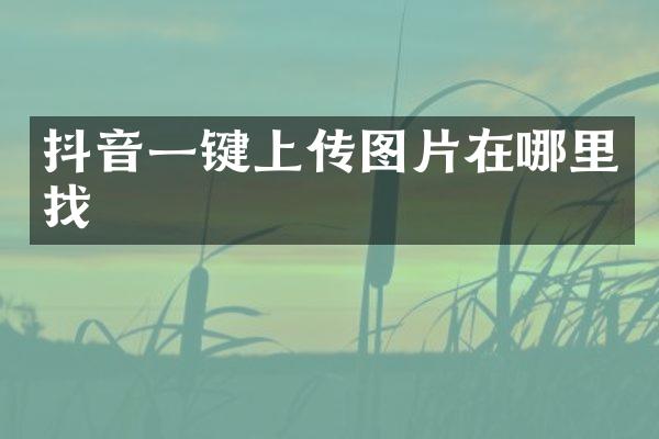 抖音一键上传图片在哪里找