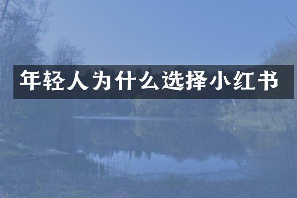 年轻人为什么选择小红书