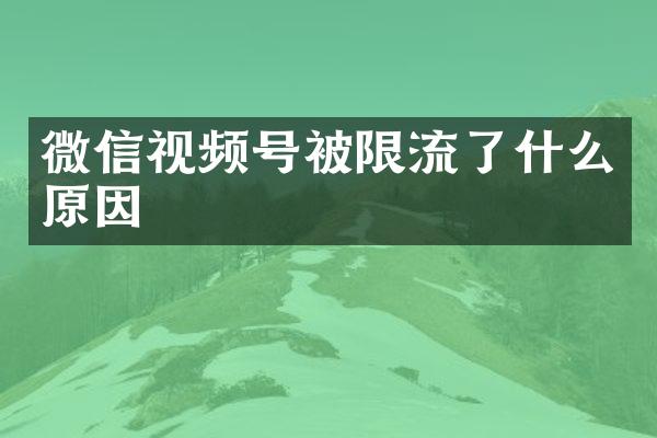 微信视频号被限流了什么原因