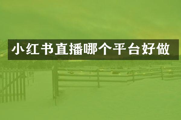 小红书直播哪个平台好做