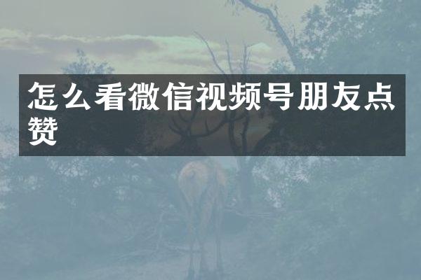 怎么看微信视频号朋友点赞