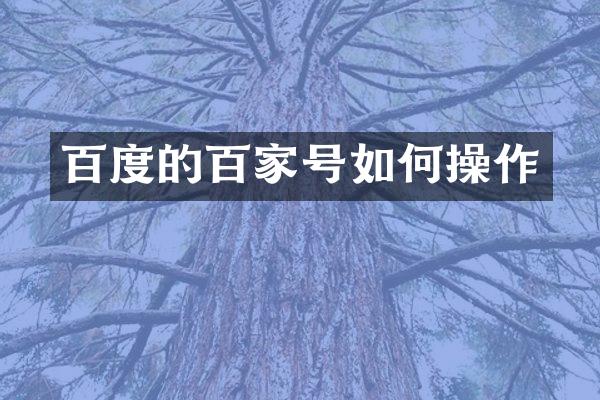 百度的百家号如作