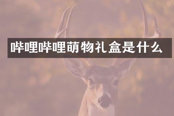 哔哩哔哩萌物礼盒是什么