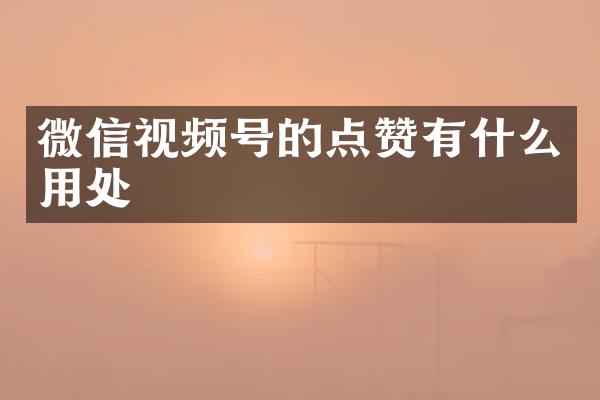 微信视频号的点赞有什么用处