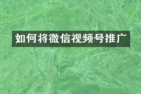 如何将微信视频号推广