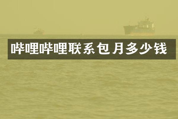 哔哩哔哩联系包月多少钱