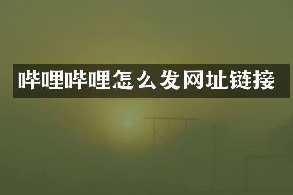 哔哩哔哩怎么发网址链接