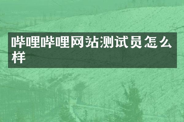哔哩哔哩网站测试员怎么样