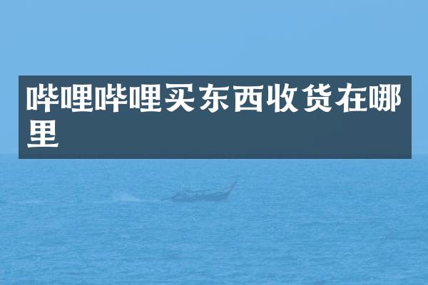哔哩哔哩买东西收货在哪里