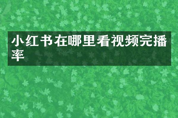 小红书在哪里看视频完播率