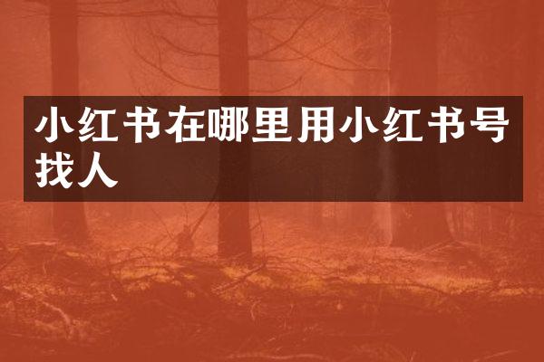 小红书在哪里用小红书号找人