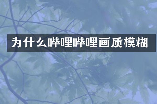 为什么哔哩哔哩画质模糊