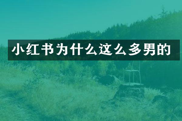 小红书为什么这么多男的