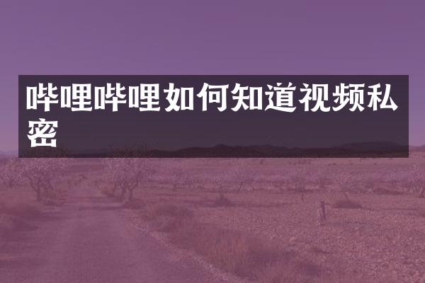 哔哩哔哩如何知道视频私密