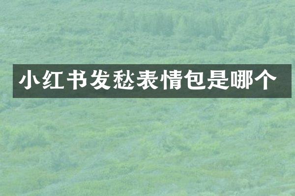 小红书发愁表情包是哪个
