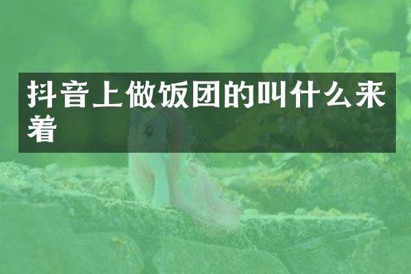 抖音上做饭团的叫什么来着