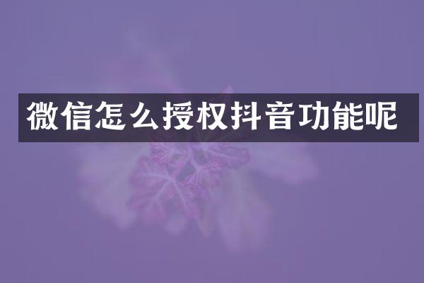 微信怎么授权抖音功能呢