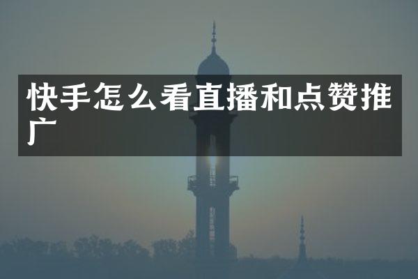 快手怎么看直播和点赞推广