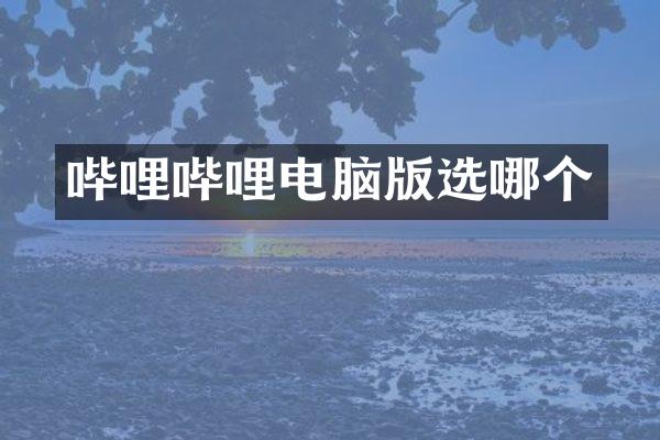 哔哩哔哩电脑版选哪个
