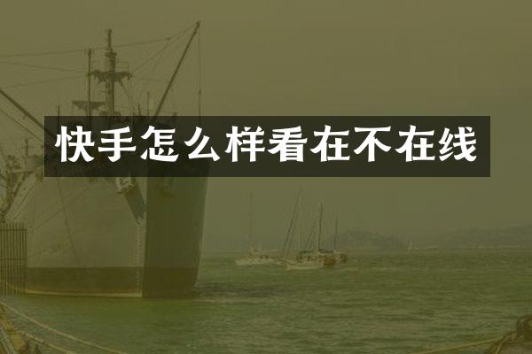 快手怎么样看在不在线