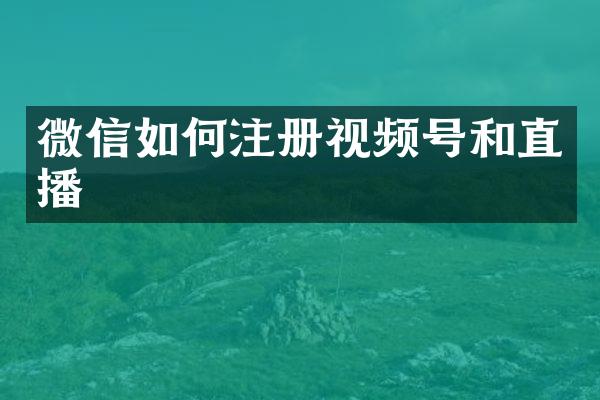 微信如何注册视频号和直播