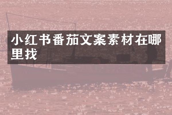 小红书番茄文案素材在哪里找